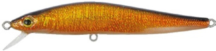 Sprint minnow