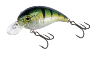 Bumble Shad (1)