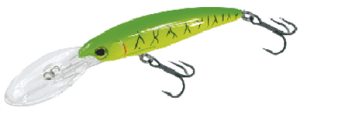 Deep Minnow 1