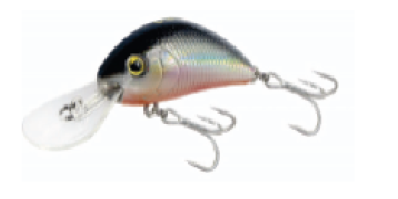 Shaky shad