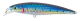 Sweeper minnow