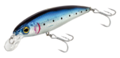 Sweeper minnow 1